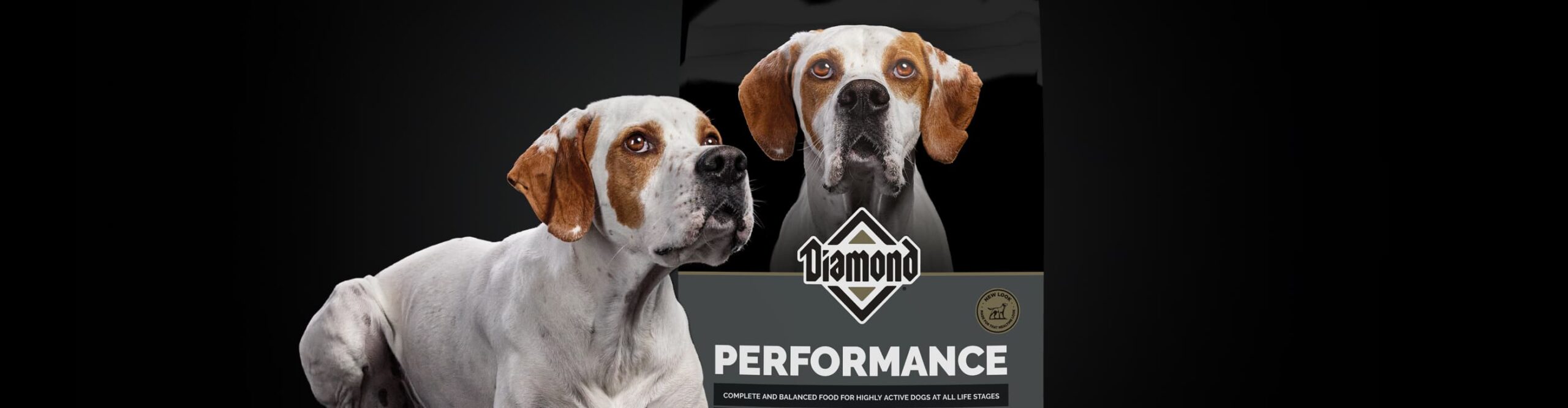 Diamond Legacy Brand + Packaging Refresh